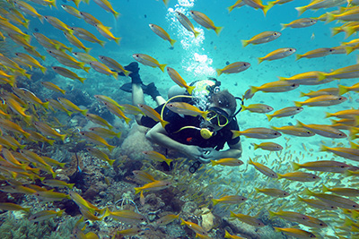 Погружение на курсе PADI Advanced Open Water Diver