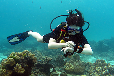 Погружения в море на курсе Open Water Diver