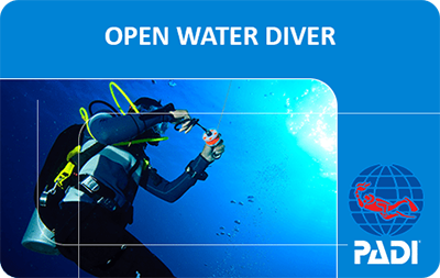 Электронный сертификат PADI Open Water Diver
