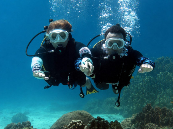 Open Water или Advanced — какой курс PADI выбрать
